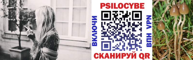 Галлюциногенные грибы мицелий  блэк спрут ONION  Харабали 