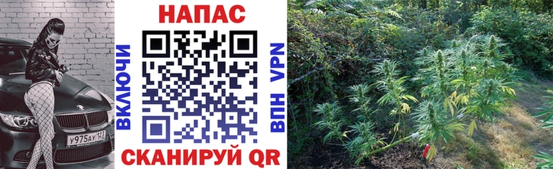 Марихуана White Widow  где купить   Харабали 